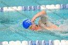 Swimming & Diving vs Babson  Swimming & Diving vs Babson College. - Photo by Keith Nordstrom : Wheaton, Swimming